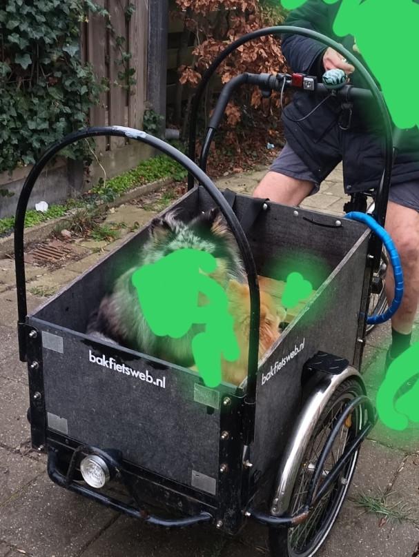 Bakfiets