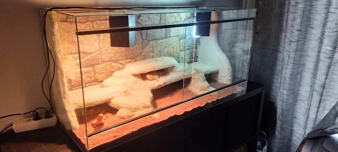 Terrarium 100x40x50 gebruikt reptielen reptiel