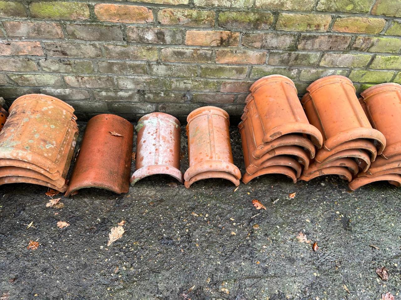 Nokvorsten (diverse types)