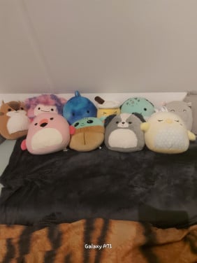 Squishmallows medium size