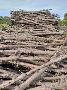 Openhaard / kachel hout