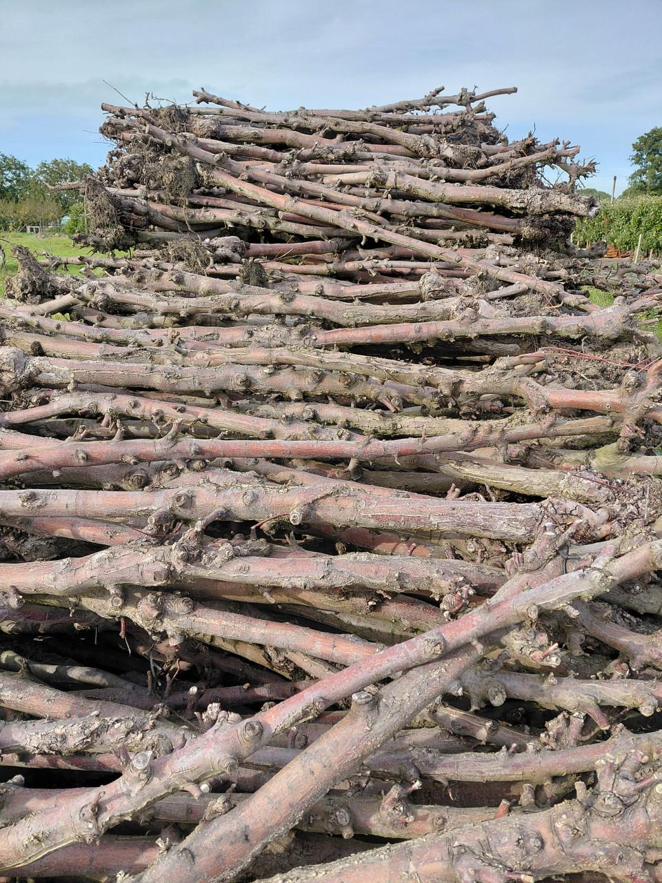Openhaard / kachel hout