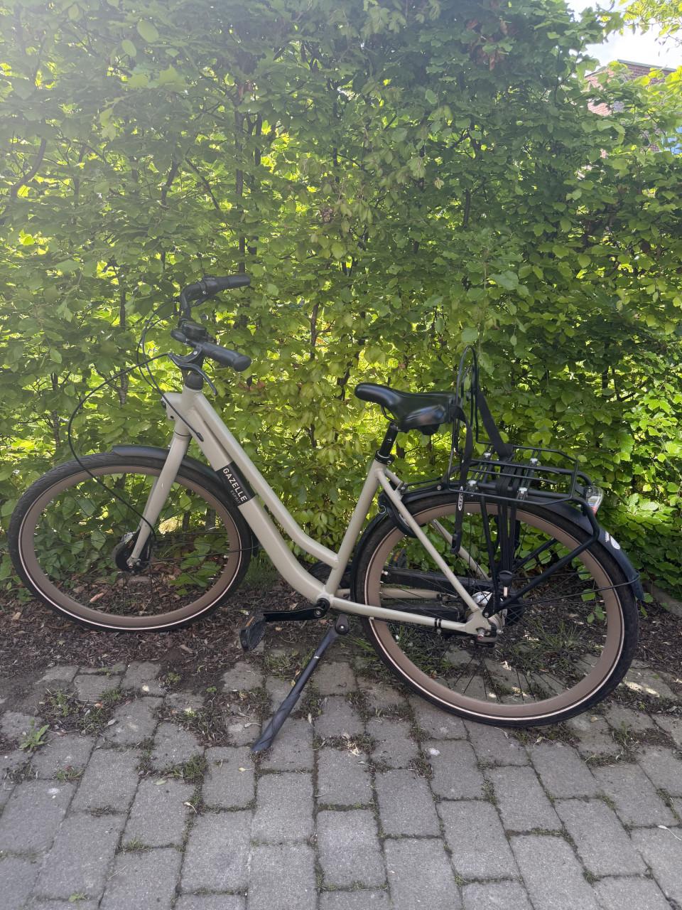 Gazelle Esprit 7 versnellingen, 49inch