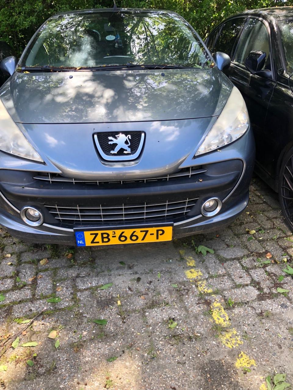 Peugot 207