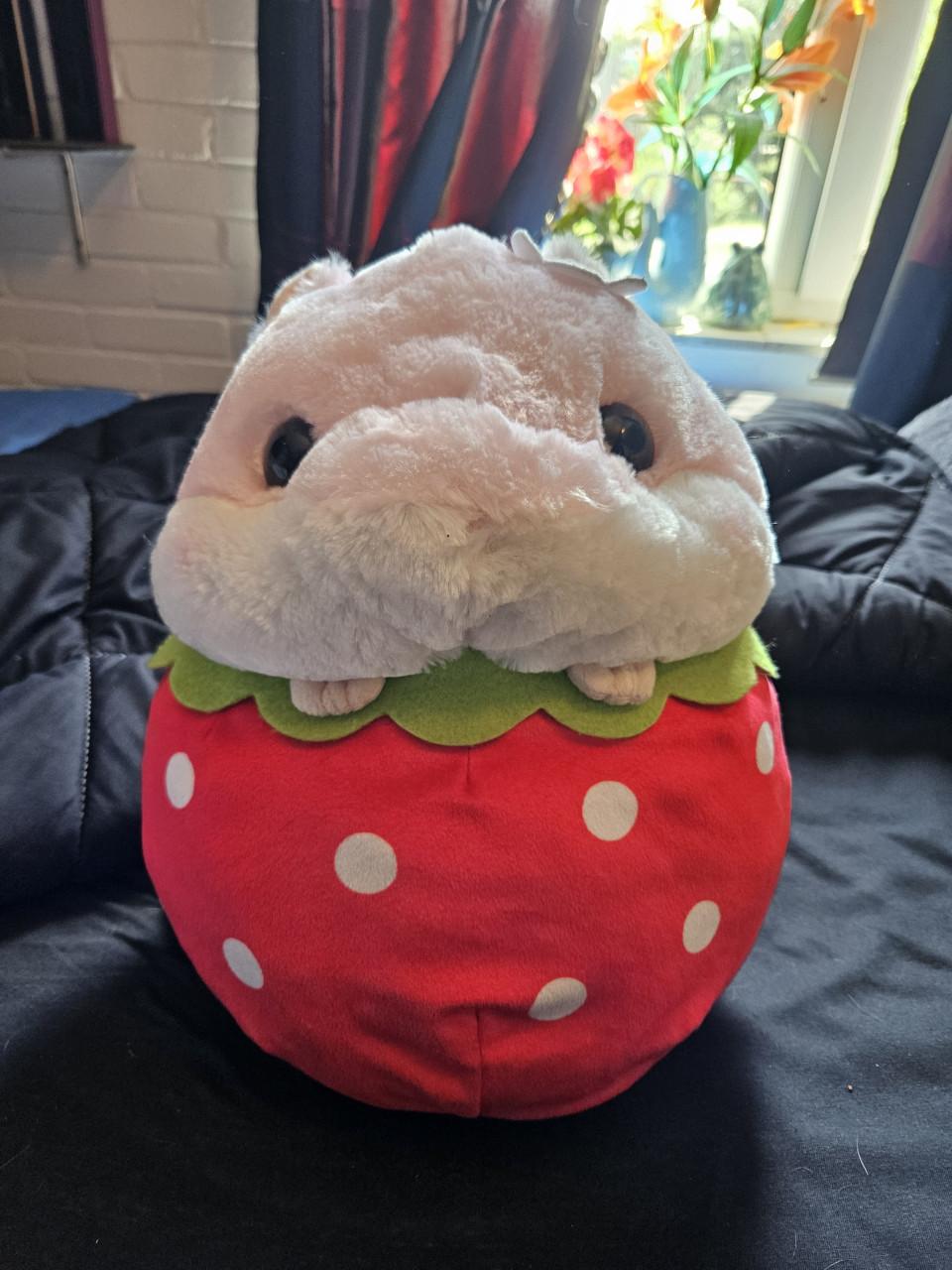 Deken en knuffel