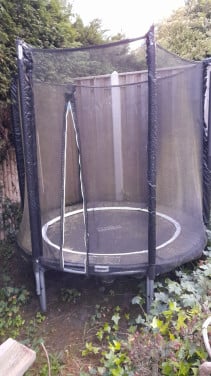 Trampoline