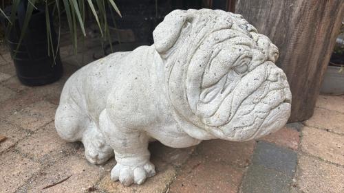 Tuinbeeld wit Engelse bulldog