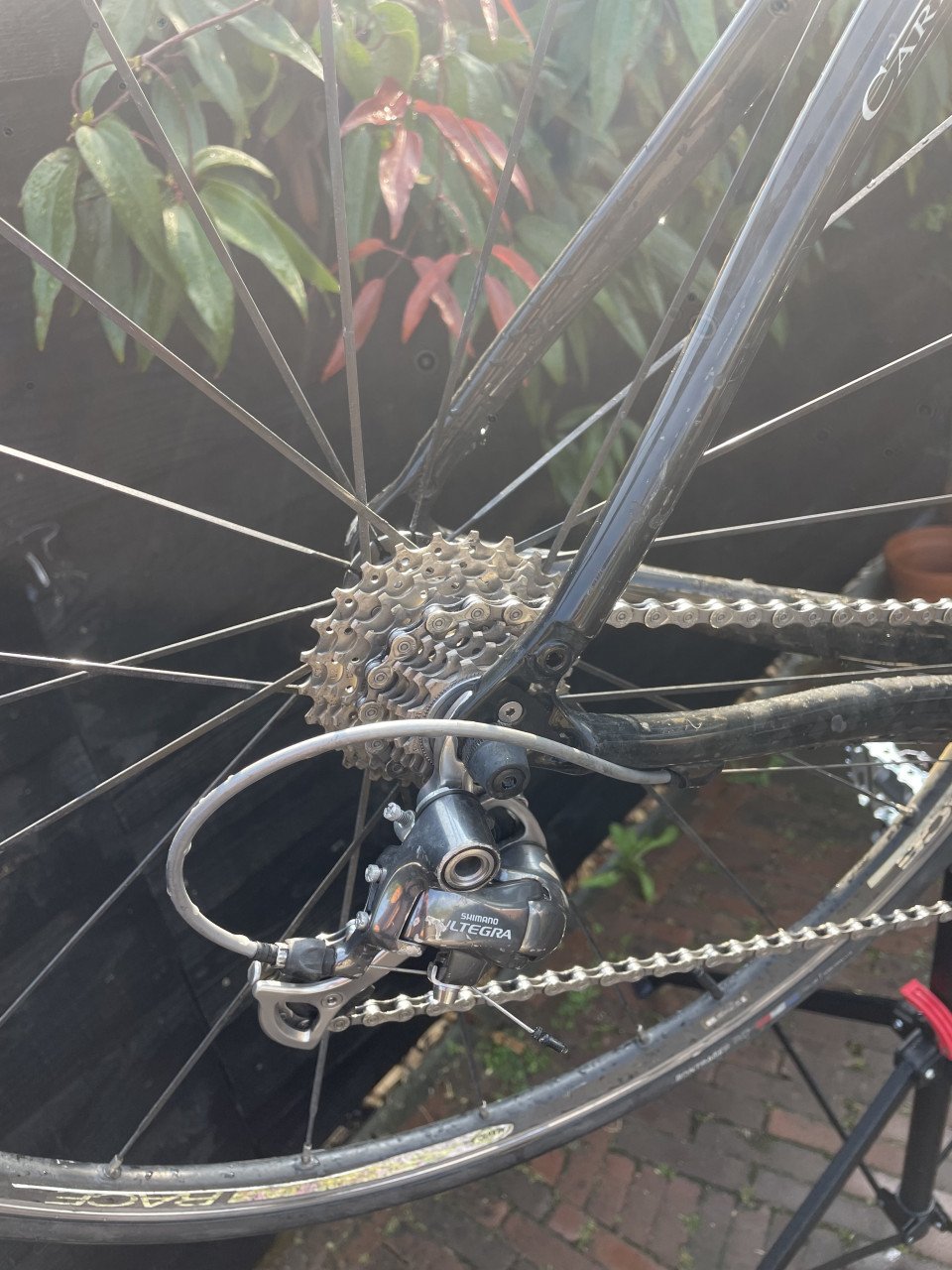 Sensa Calabria carbon racefiets