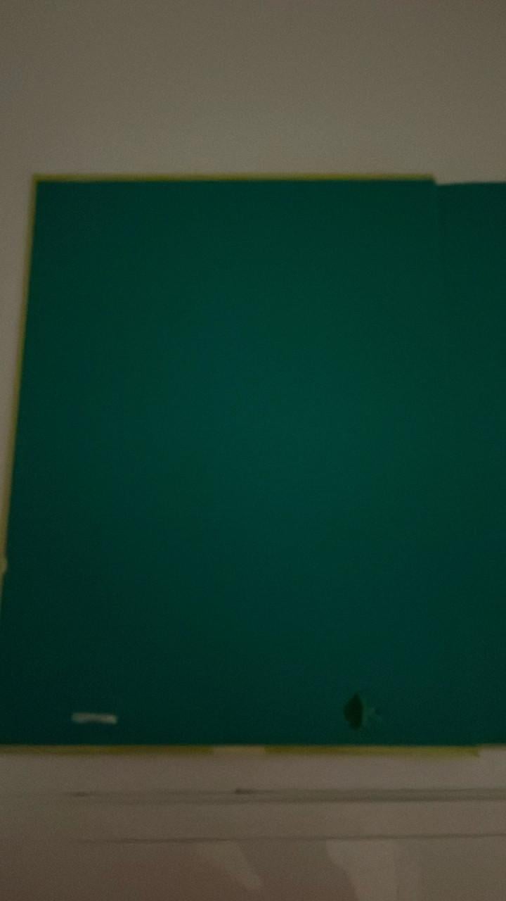 Het grote lijsterboek Carry Slee