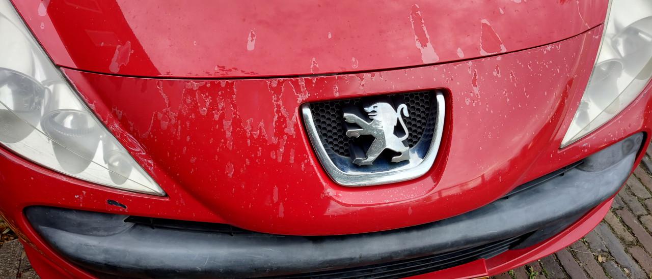 Peugeot 206+ (plus) met APK Aug. 2026