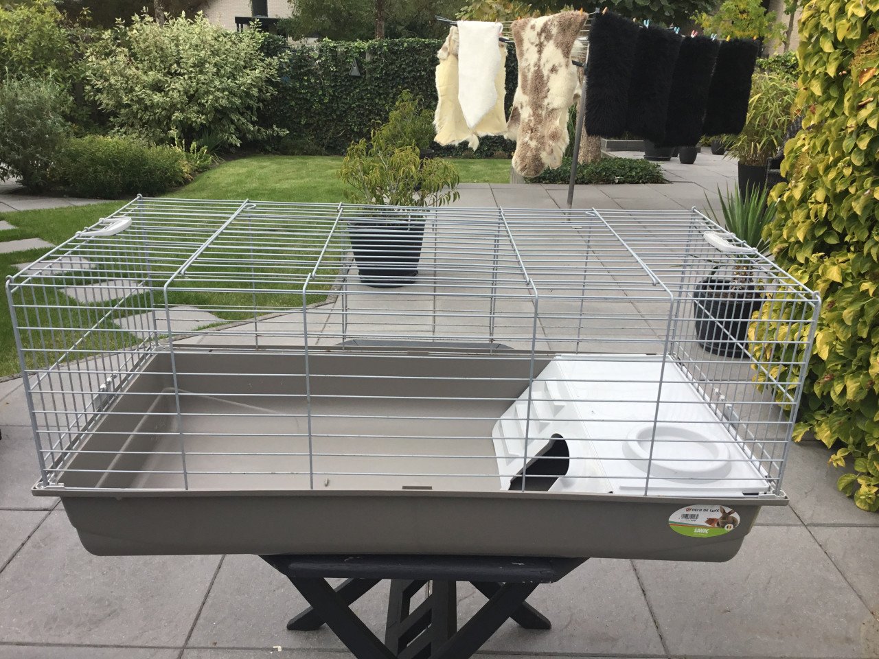 CAVIA-KONIJNENKOOI