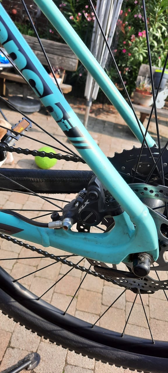 Bianchi Grizzly