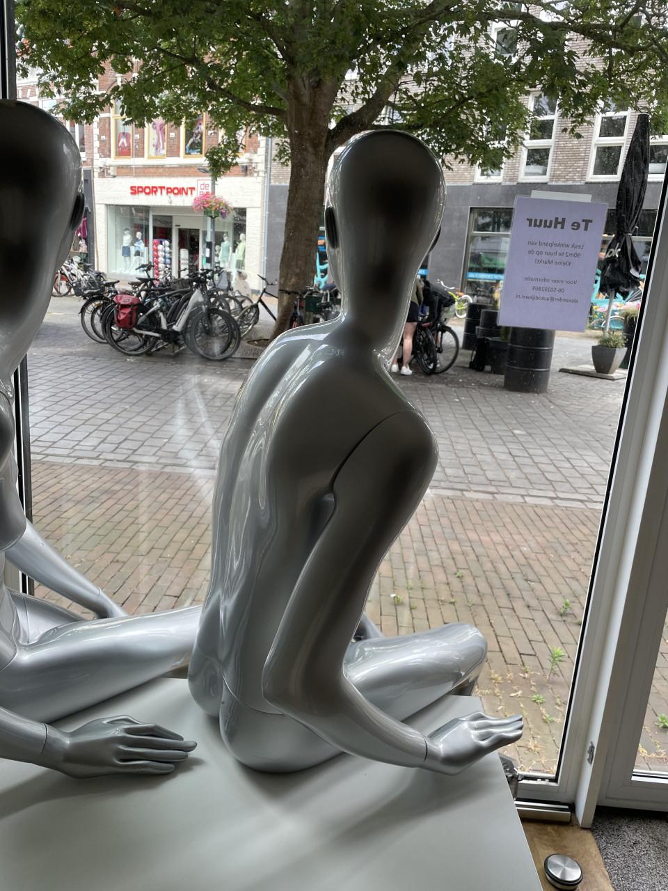 Glansgrijze zittende design paspoppen