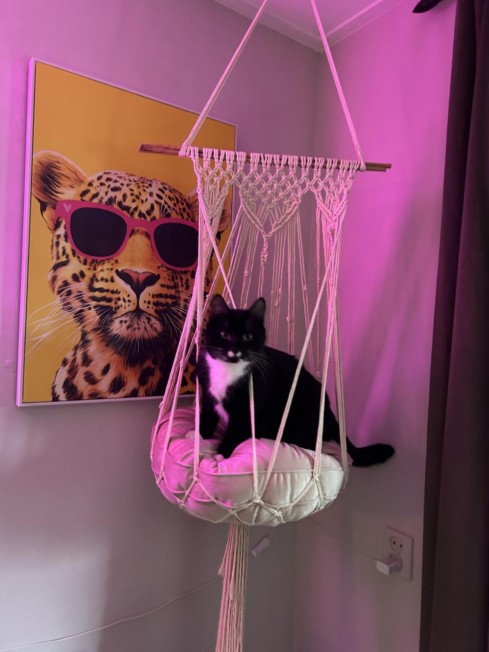 NIEUW! Kattenmand macramé met rond matraskussen 45cm