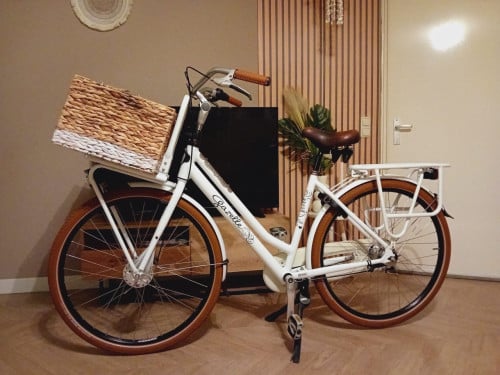 Mooie Gazelle Miss Grace Z.G.A.N.