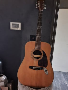 Mooie elektro akoestische gitaar van het merk Ibanez V 300....
