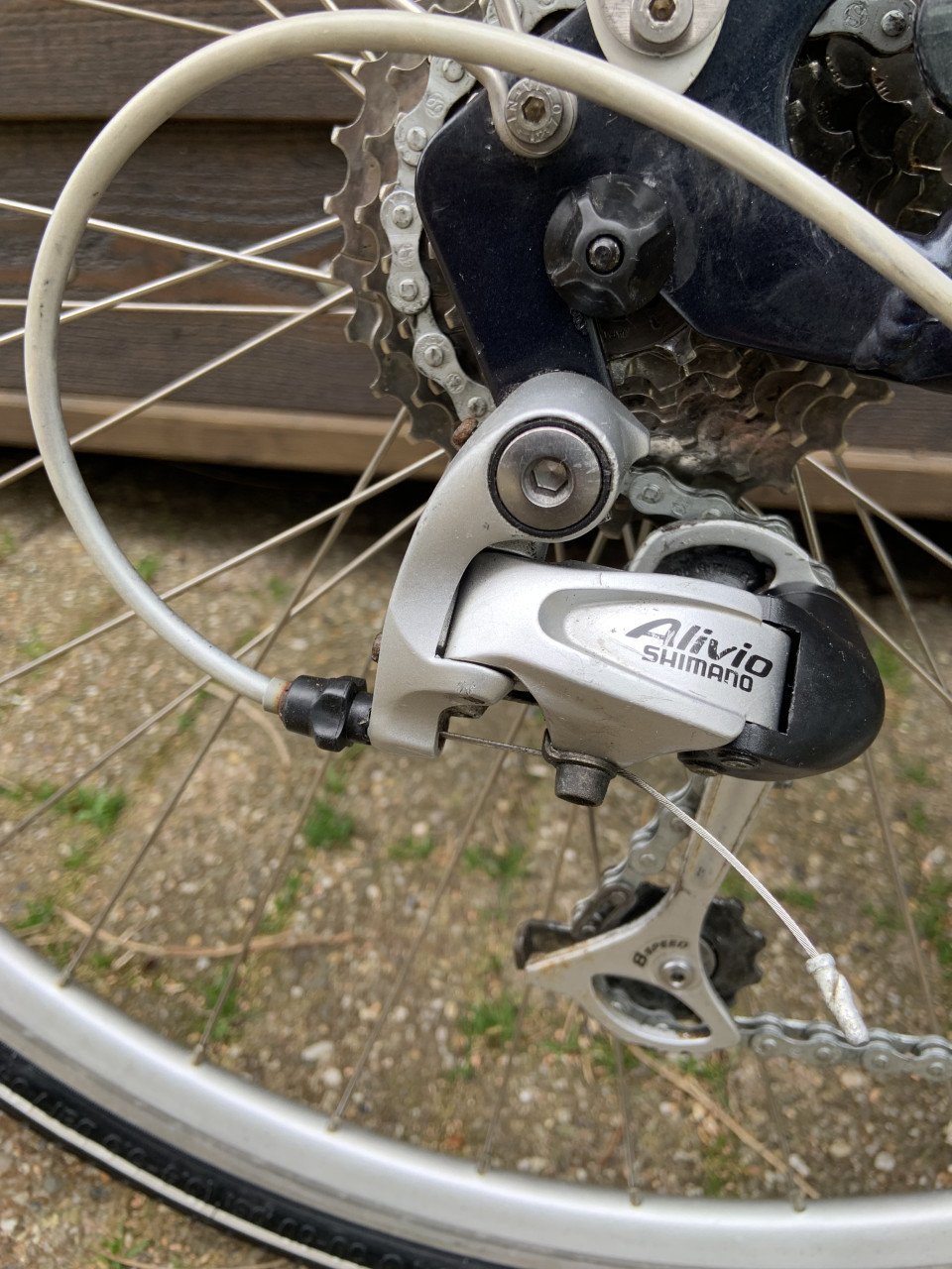 Damesfiets Gazelle Medeo Track & Trail 24 versnellingen. Sportief en mooi.