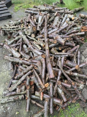Openbaar hout van Els