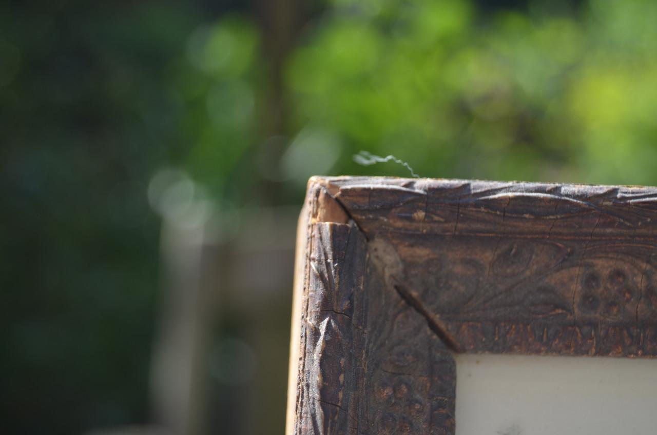 Gravure Den Haag door de weilanden gezien 1856.