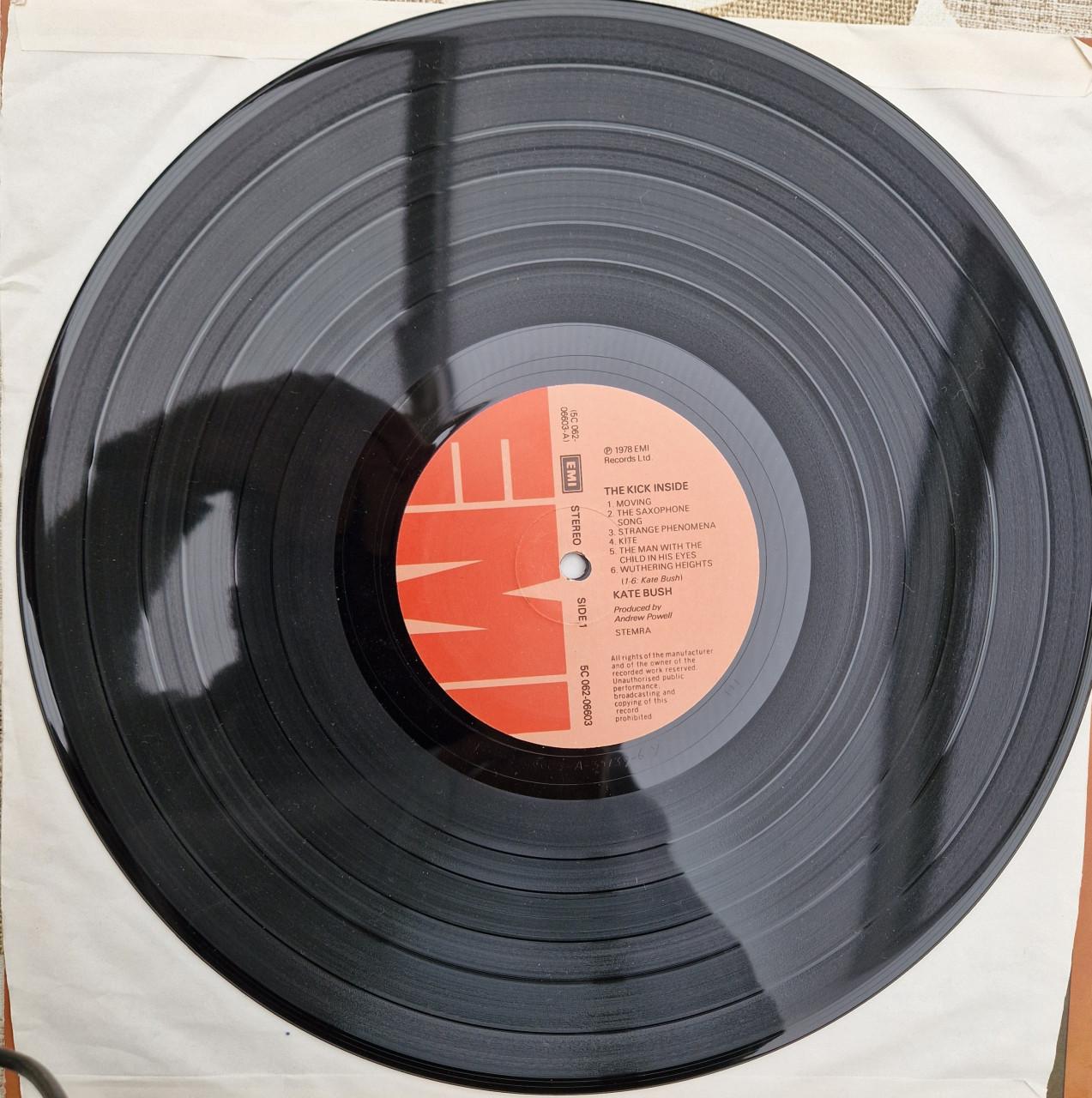 Kate Bush " The kick inside"