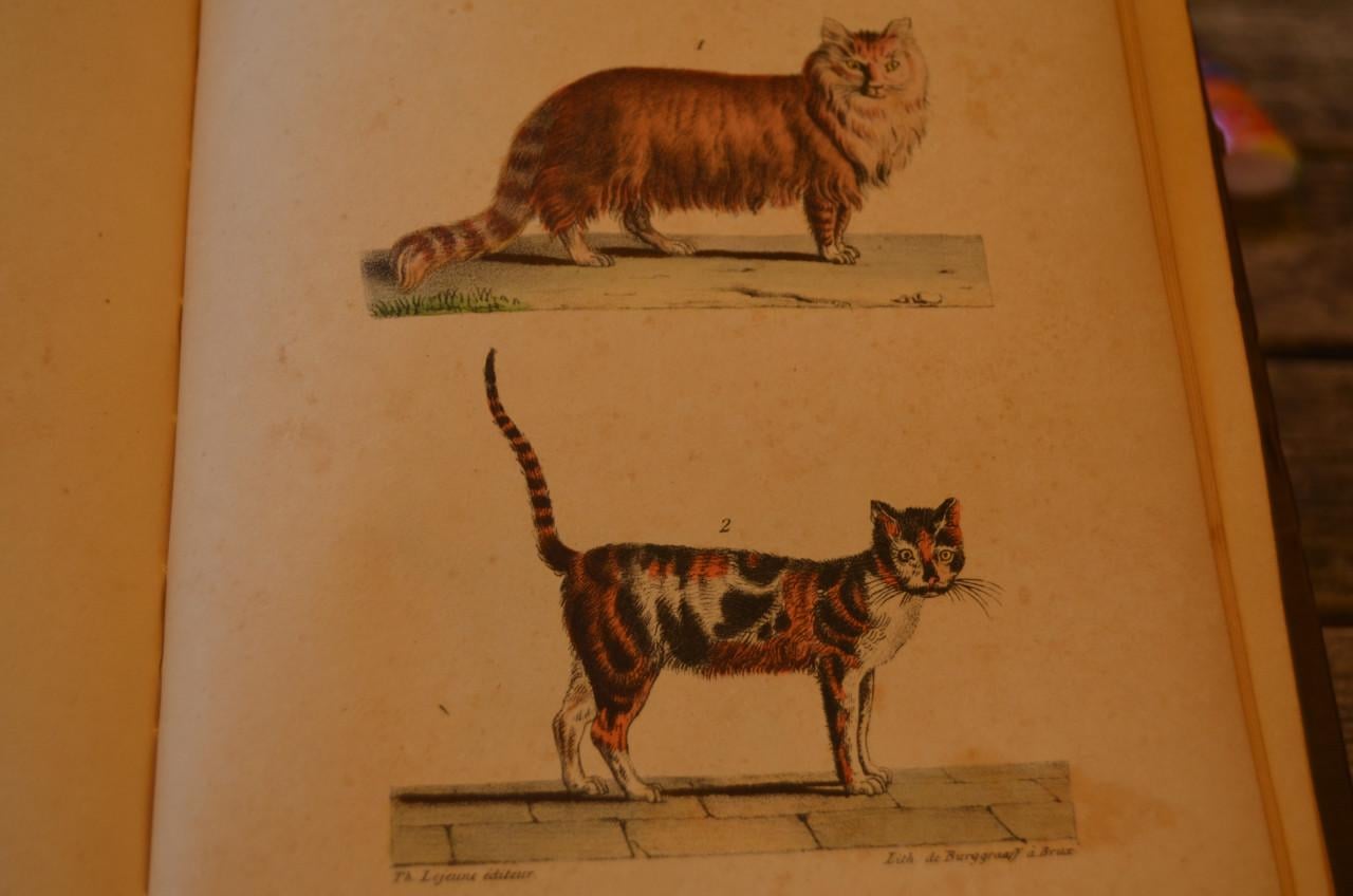 Oeuvres complet de Buffon 1833 fraai!!
