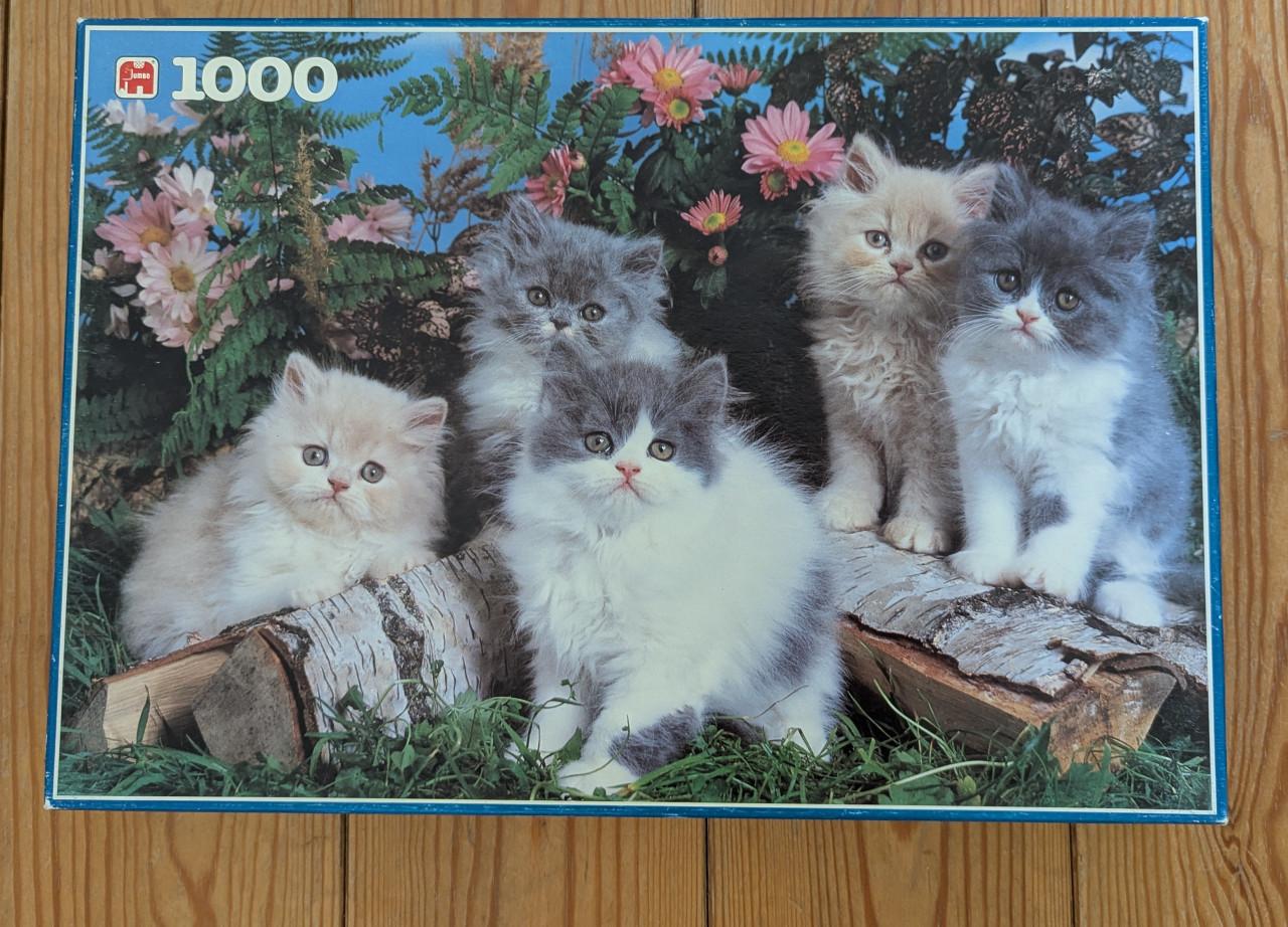 Puzzels