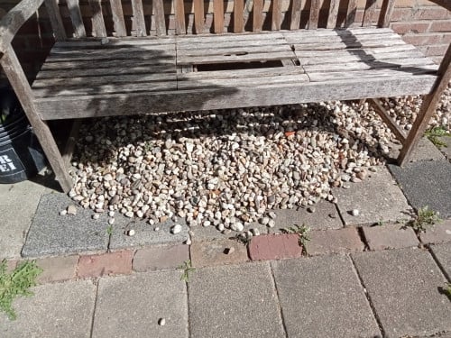 Stenen beschilderen? Kom ze hier halen