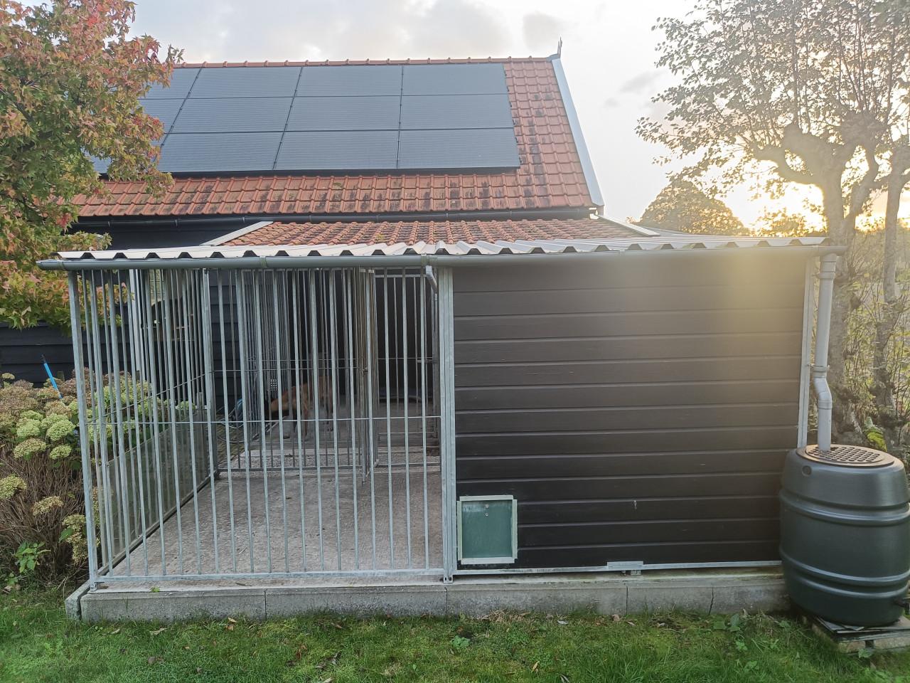 Hondenkennel compleet met nachthok