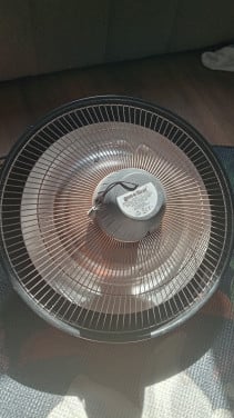 Kippenlamp