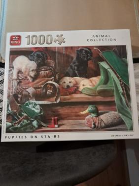 King puzzel puppies on stairs 1000 stukjes