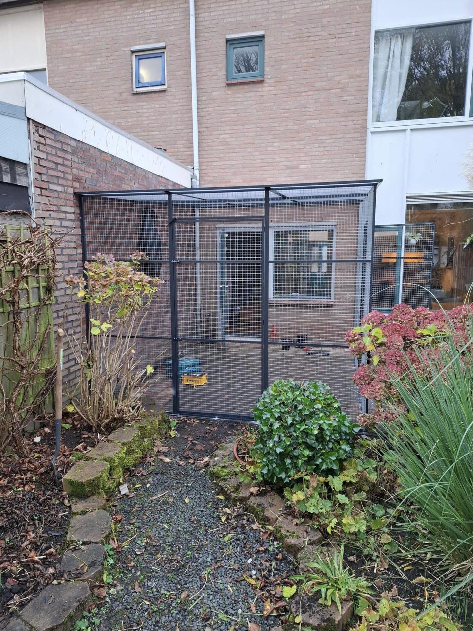 Kattenrennen/verblijven.........