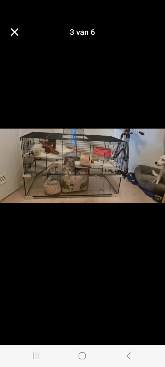 Een grote hamster/muizen kooi