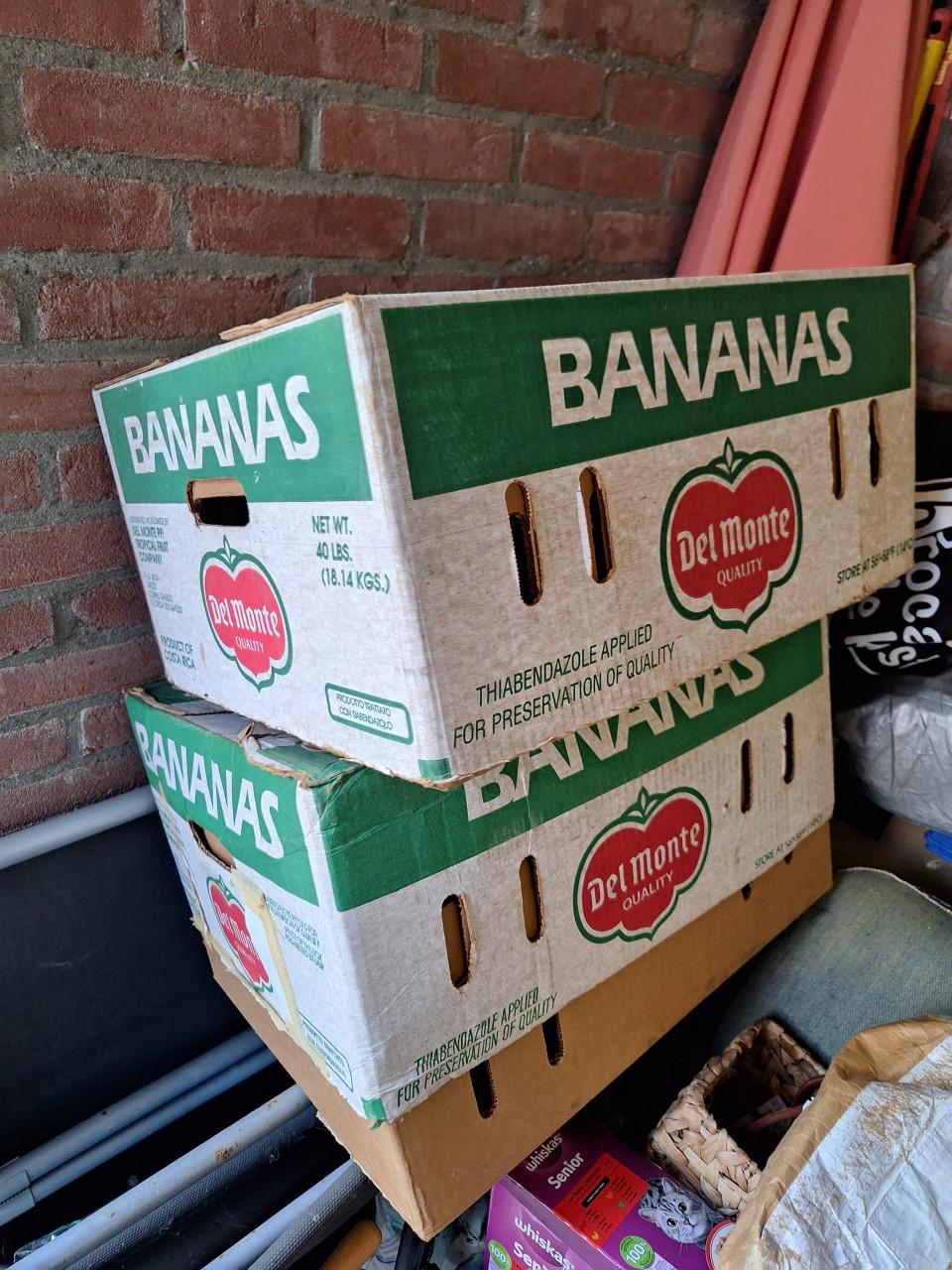 Gratis 2 Bananendozen