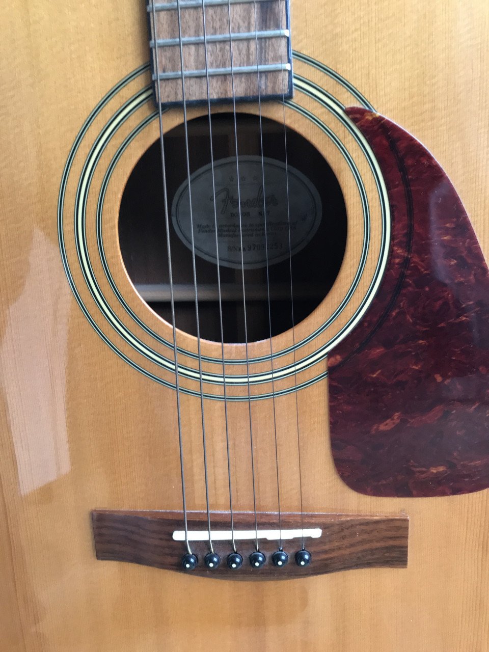 FENDER DG20S NAT gitaar
