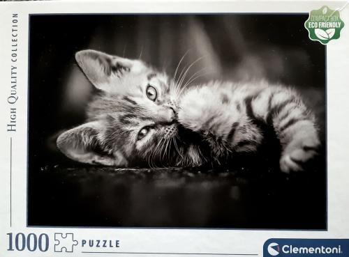 Puzzel kitten 1000 stukjes