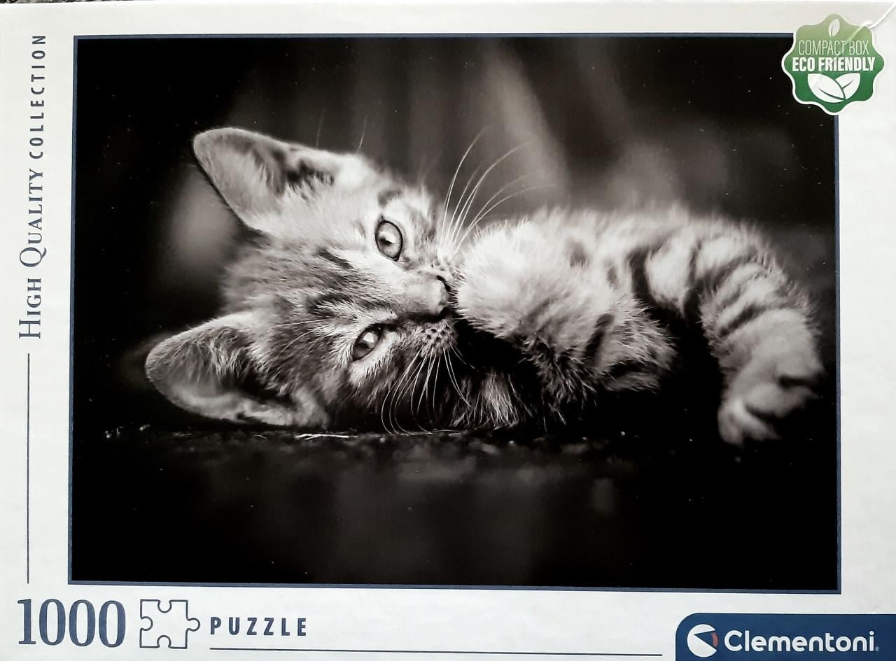 Puzzel kitten 1000 stukjes