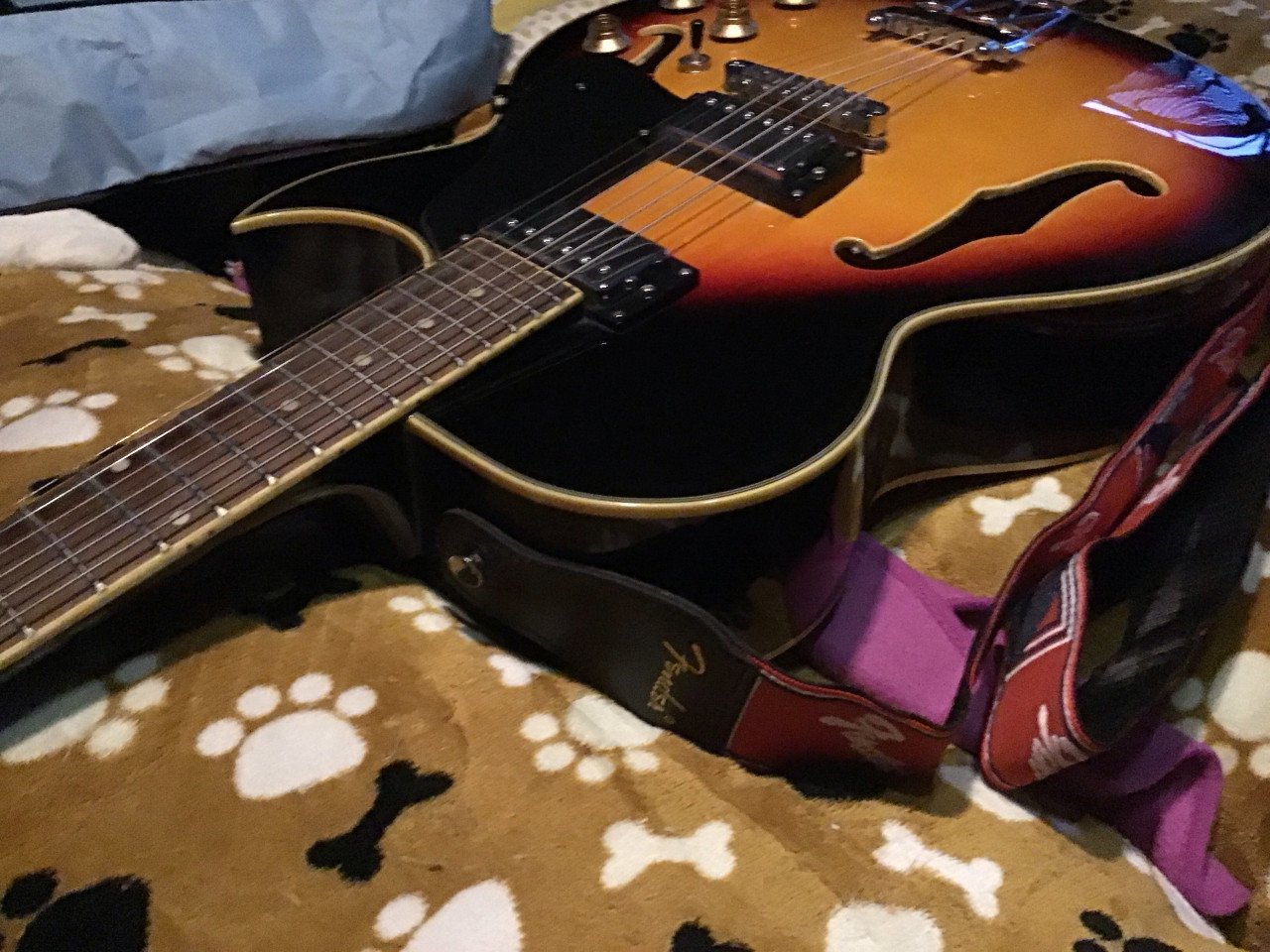 Cherrystone ES 225 T whit humbuckers (1957 style) += 22 jaar oud
