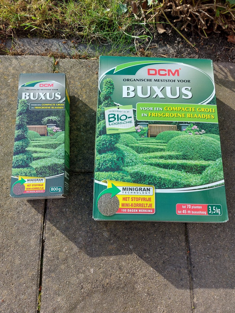 Buxus bemesting