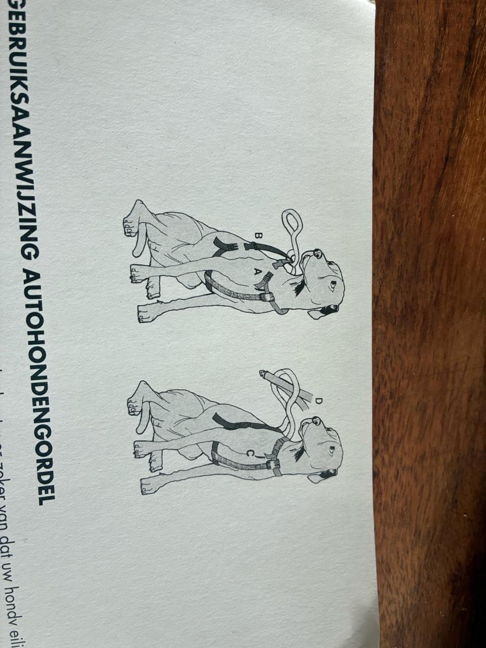 Honden gordel m