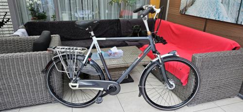 Gazelle Eclipse Limited herenfiets 65 cm