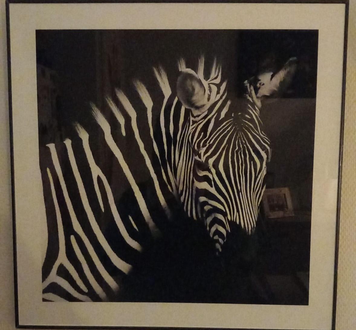 Schilderijen wilde dieren