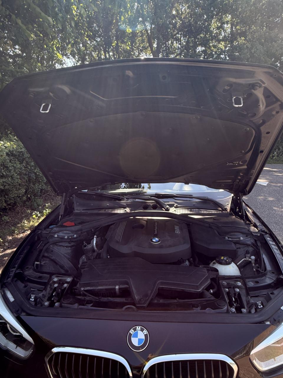 BMW 118i F20 model