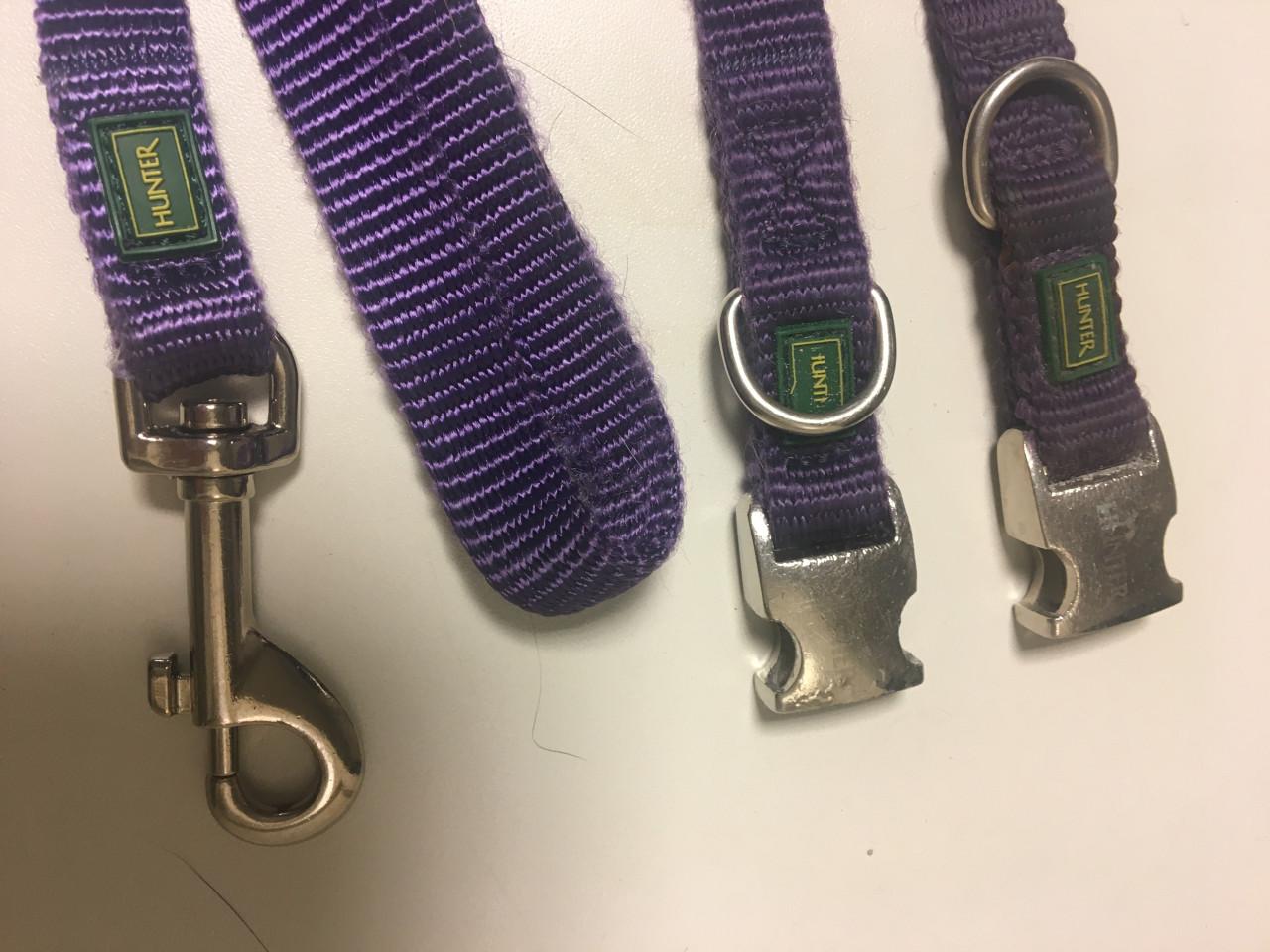 ZGAN HUNTER Degelijk Puppy Bandjes en Looplijn IZGS!!