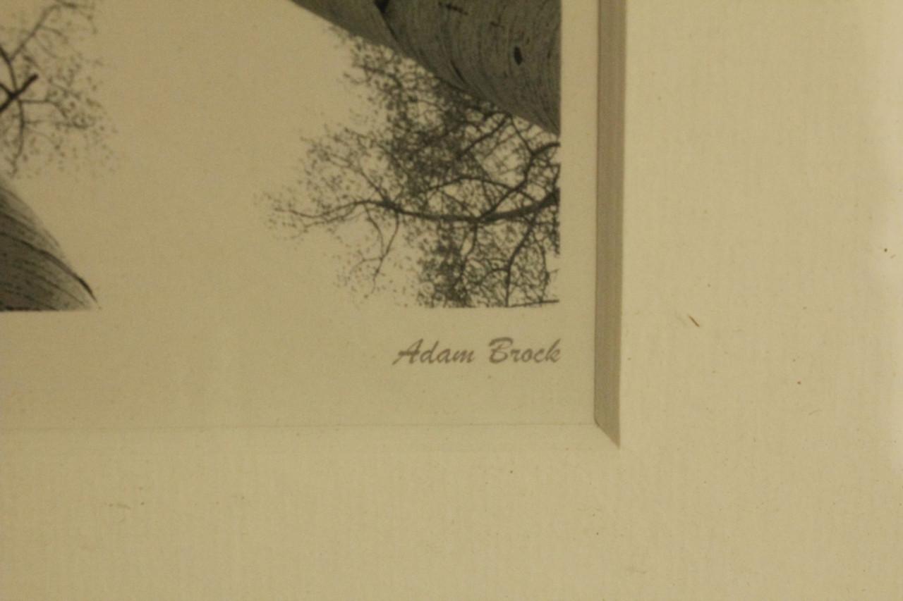 Houten lijst met prent..Adam Brock of Tony Koukos