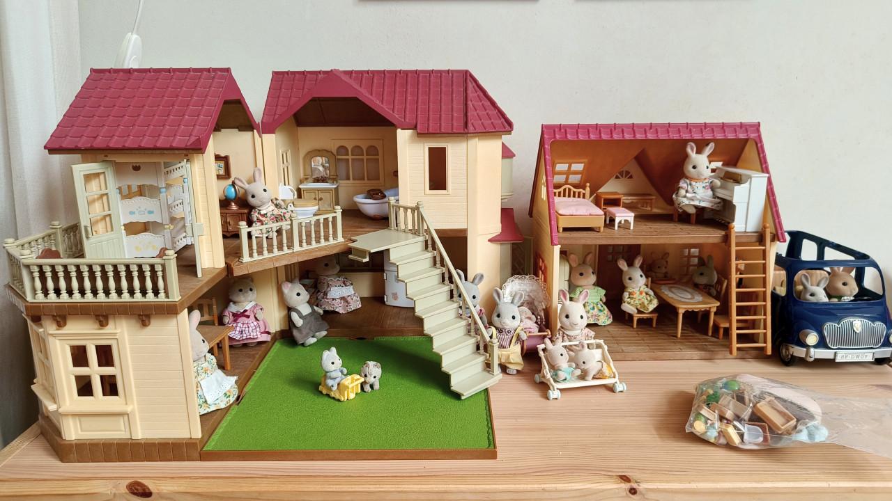 Grote set Sylvanian Families