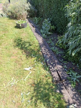 Bielzen gratis