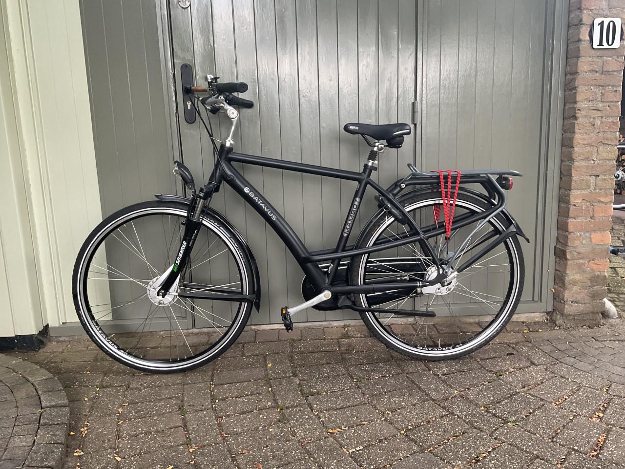 Batavus mambo