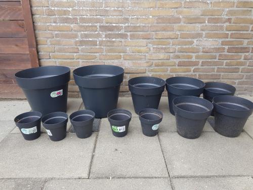 12 bloempotten
