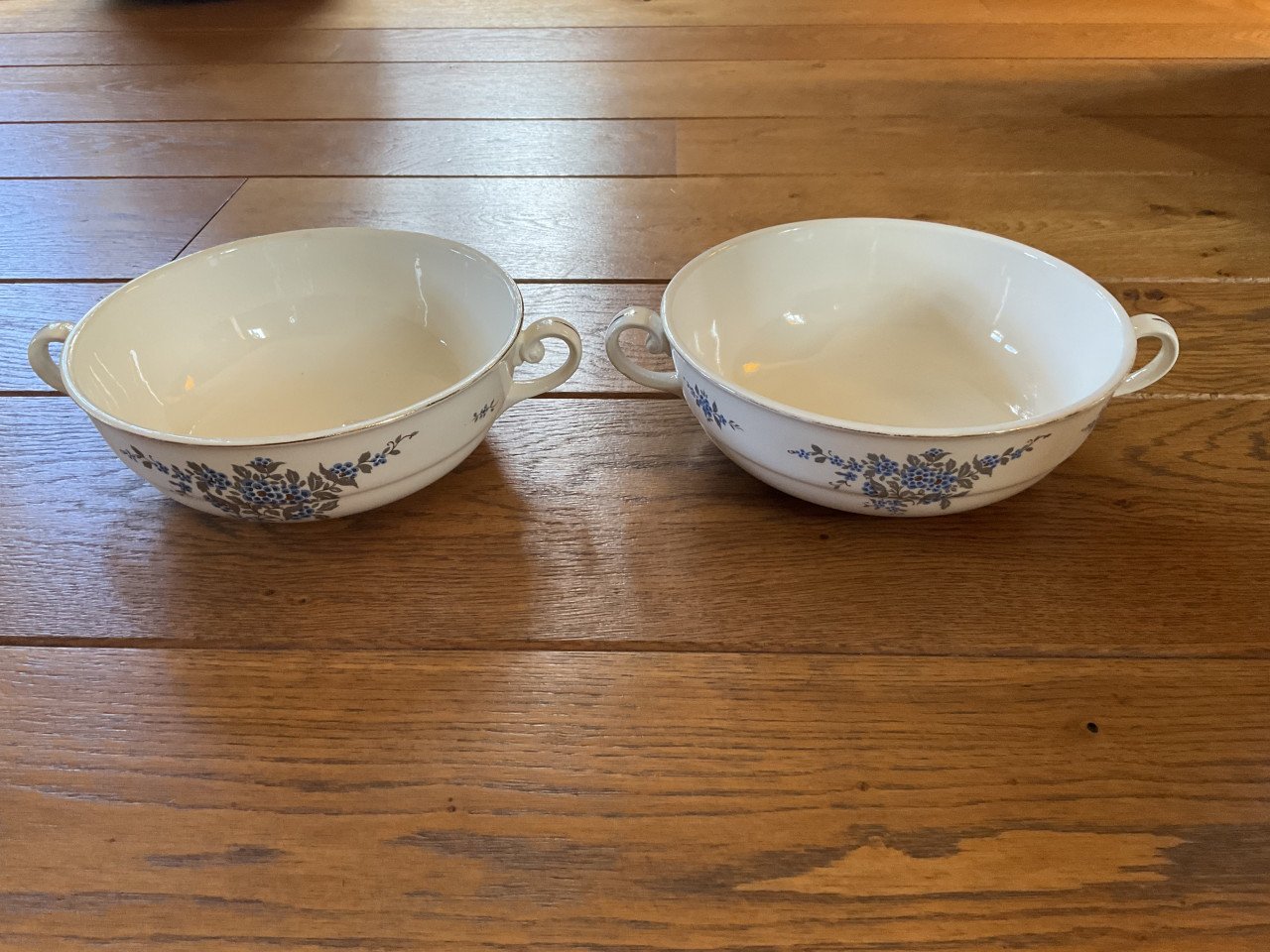 Servies van P.Regout & Co