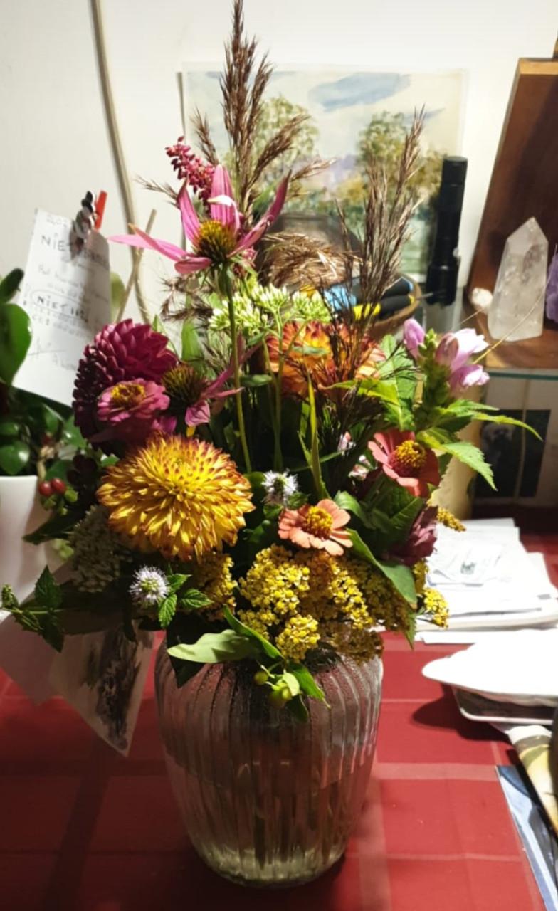 Eucalyptus snoeien tegen mooie bos bloemen